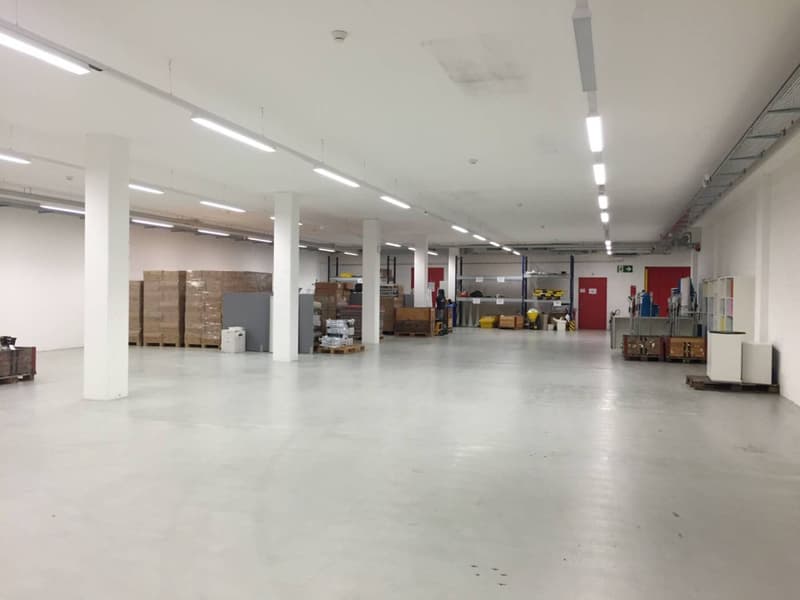 Vaud dépots/locaux/atelier et stockage REZ+étage 3490 m2, grande hauteur sous plafond (1)