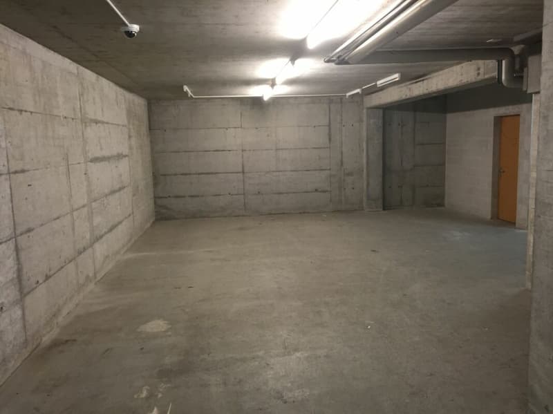 Le Mont Immeuble commercial AV avec places de parc (3)
