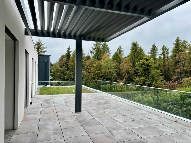 Bureaux neufs et lumineux de standing - face à la gare CFF de Bussigny ! (6)