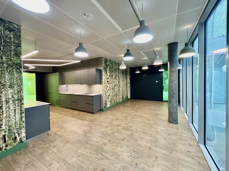 Immeuble Minergie, vaud bureaux 450 m2 à louer (8)