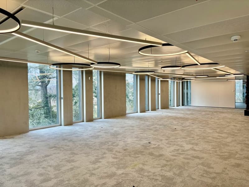 Immeuble Minergie, vaud bureaux 450 m2 à louer (2)