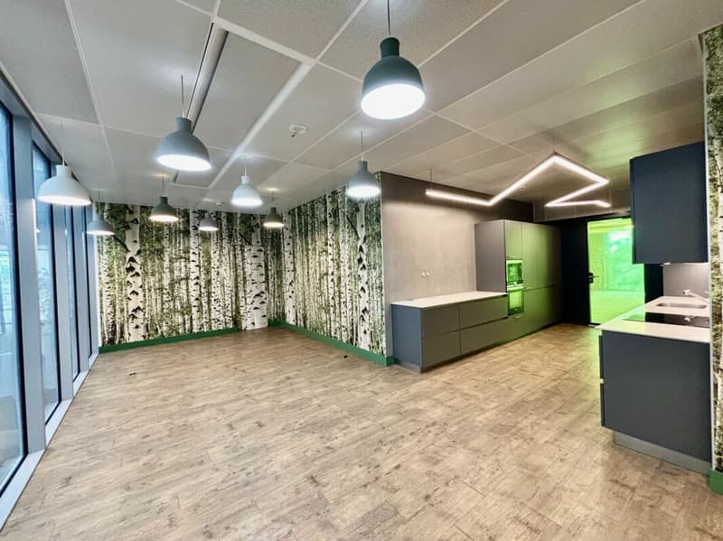 Immeuble Minergie, vaud bureaux 450 m2 à louer (9)