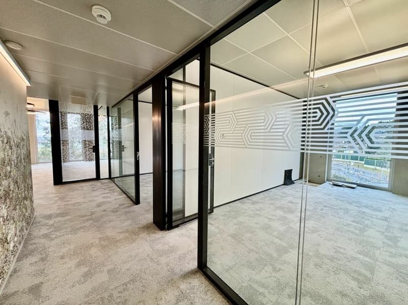 Immeuble Minergie, vaud bureaux 450 m2 à louer (3)
