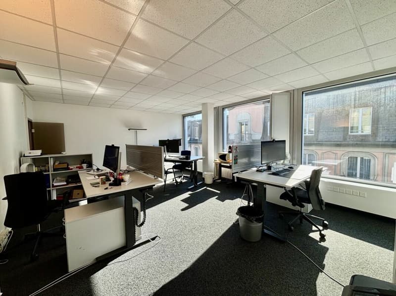 Plateaux de bureaux à Bel- Air dès 350m2 à 1800m2 (3)