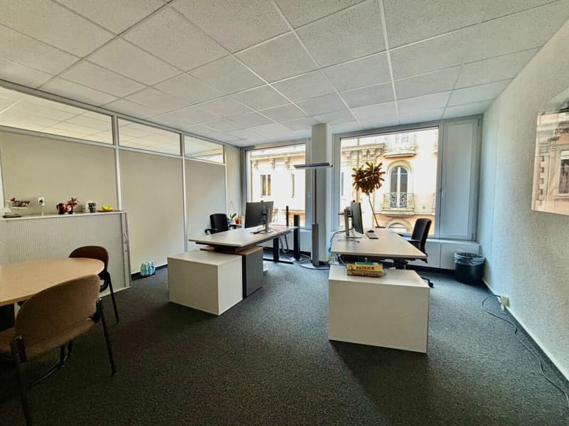 Plateaux de bureaux à Bel- Air dès 350m2 à 1800m2 (4)