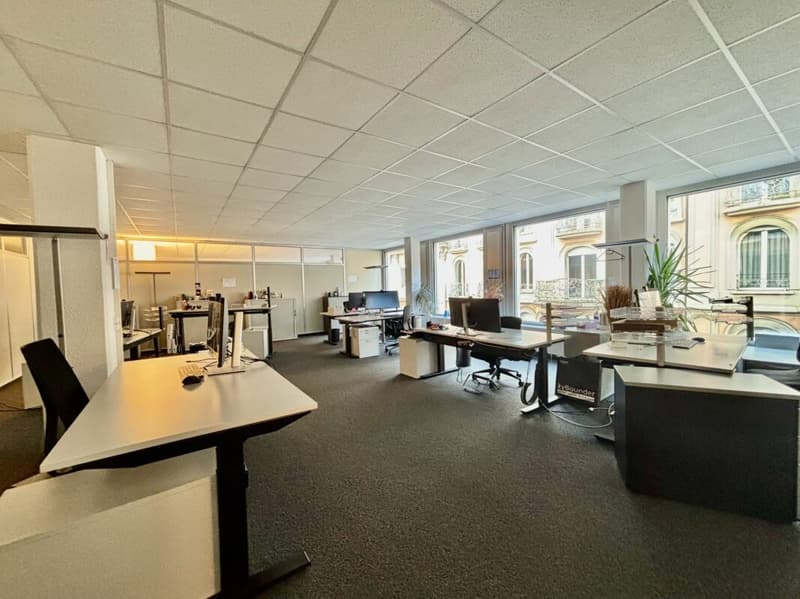 Plateaux de bureaux à Bel- Air dès 350m2 à 1800m2 (6)