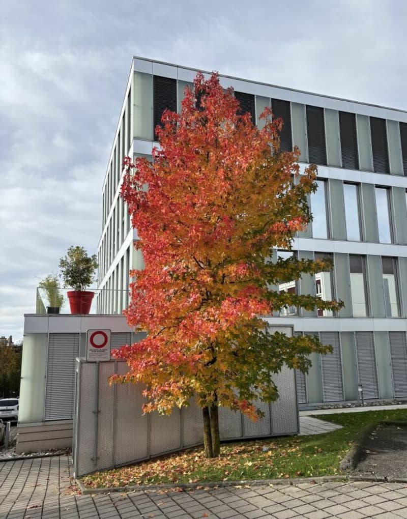 Dernière surface de 120 m², bureaux aménagées à louer immédiatement à Lausanne (9)
