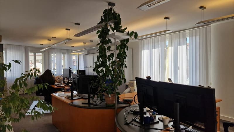 Belle surface administrative de 354m² au coeur de Lausanne: Place Saint-François ! (6)