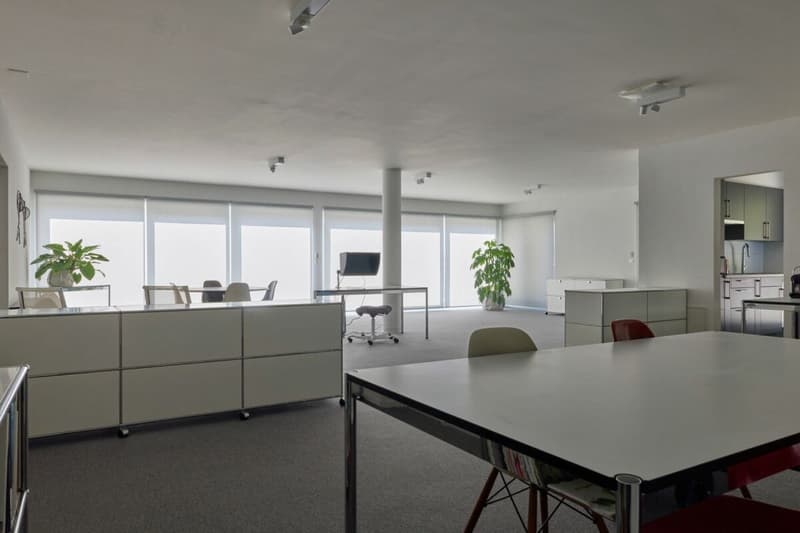 Belle surface administrative avec grande terrasse 200 m2 ! (3)