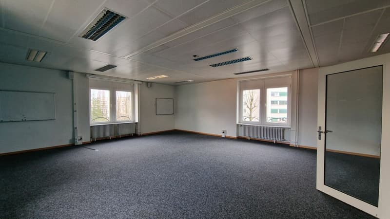 Magnifique immeuble indépendant - 1000m² proche UNIL EPFL (2)