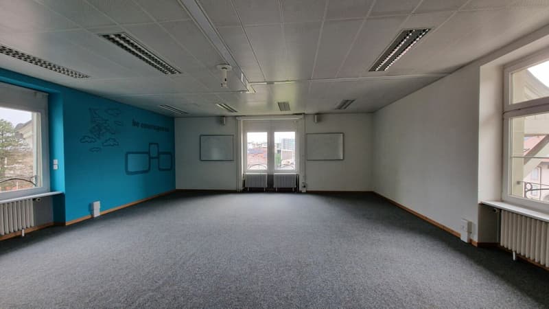 Magnifique immeuble indépendant - 1000m² proche UNIL EPFL (4)