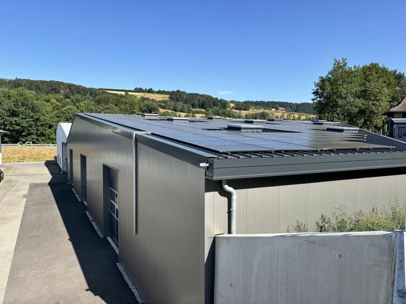 Moudon halle avec bonne hauteur à louer (8)
