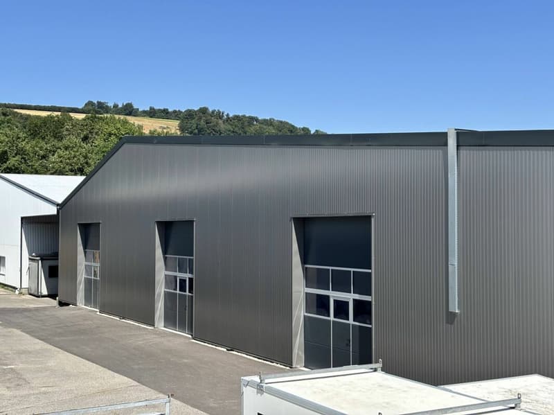Moudon halle avec bonne hauteur à louer (1)
