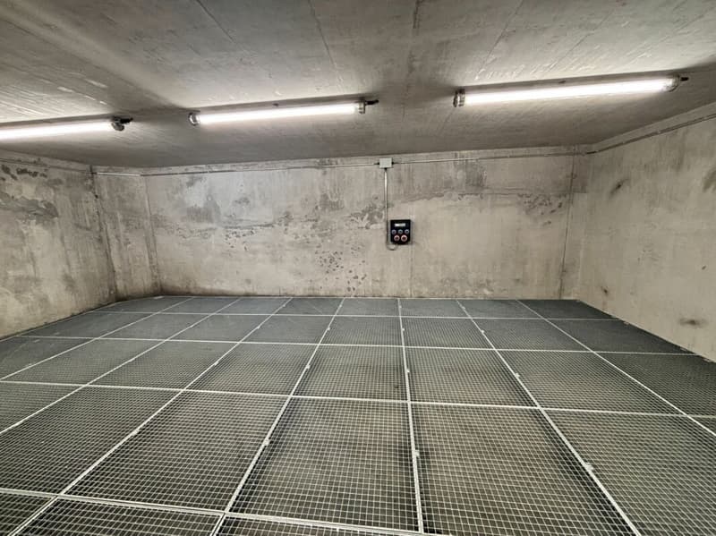 Moudon halle avec bonne hauteur à louer (4)