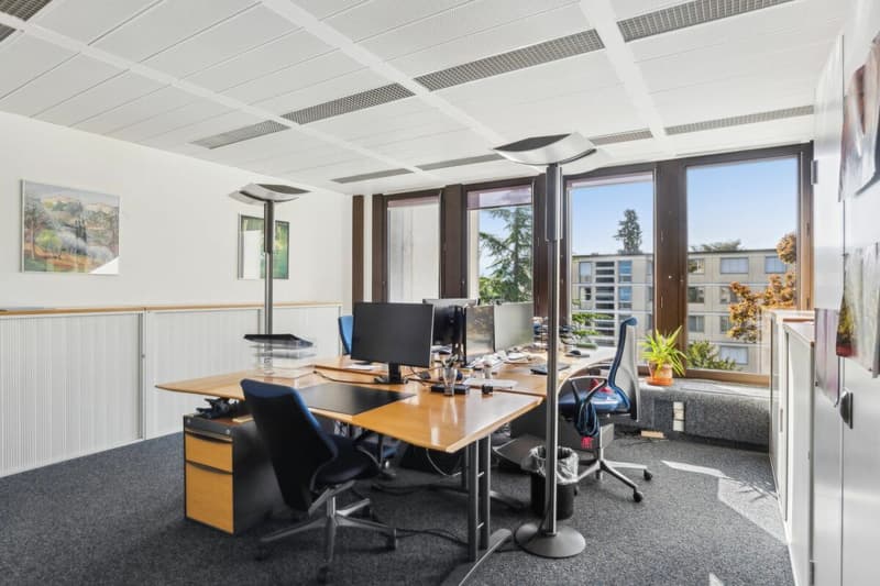 2 plateaux divisibles de 685 m² avec vue sur le lac (6)