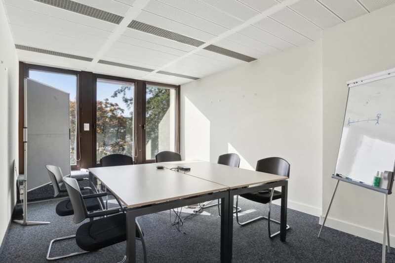 2 plateaux divisibles de 685 m² avec vue sur le lac (4)