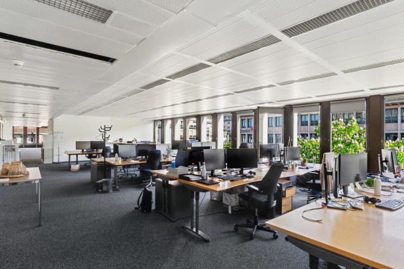 2 plateaux divisibles de 685 m² avec vue sur le lac (9)