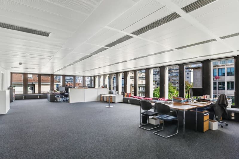 2 plateaux divisibles de 685 m² avec vue sur le lac (2)