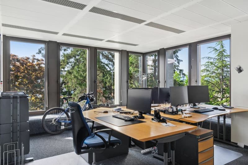2 plateaux divisibles de 685 m² avec vue sur le lac (8)