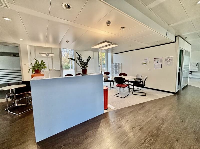 Grand plateau de bureaux de 850 m2 divisibles 450 m2 Gare CFF Morges ! (8)
