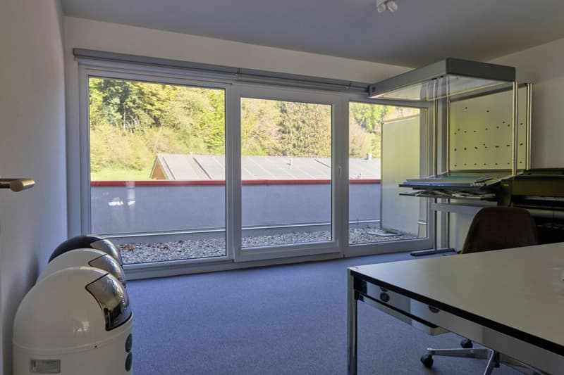 Belle surface administrative avec grande terrasse 200 m2 ! (7)