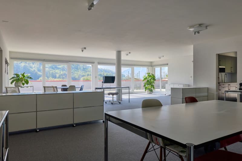 Belle surface administrative avec grande terrasse 200 m2 ! (1)