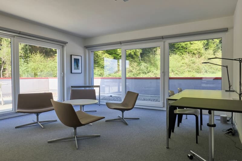 Belle surface administrative avec grande terrasse 200 m2 ! (2)