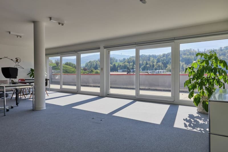 Belle surface administrative avec grande terrasse 200 m2 ! (5)