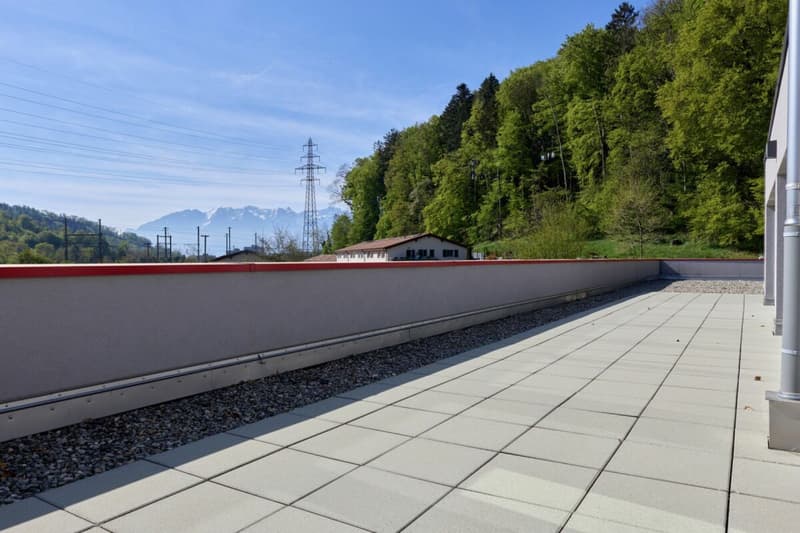 Belle surface administrative avec grande terrasse 200 m2 ! (8)