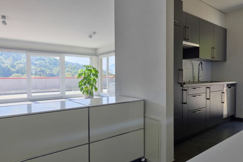 Belle surface administrative avec grande terrasse 200 m2 ! (6)