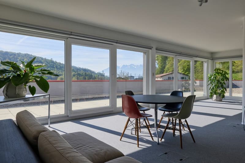 Belle surface administrative avec grande terrasse 200 m2 ! (3)