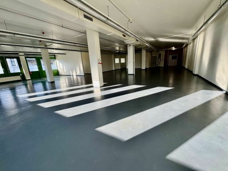 Bureaux, locaux commerciaux, atelier ou laboratoires de plain pied de 350 à 800 m2 (2)