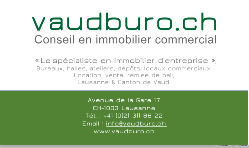 Vaud bureaux, locaux commerciaux, atelier, labo avec dépots Ouest lausanne (10)