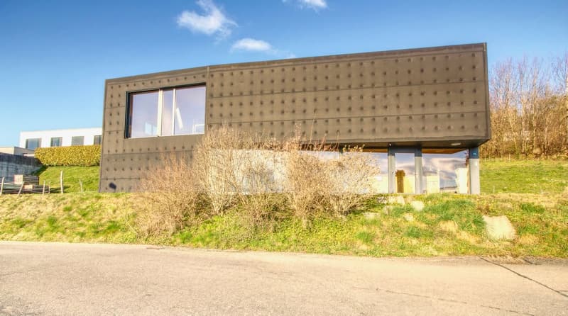 Modern house, raised ground floor, large windows, concrete exterior, green grass, view of the surrounding area