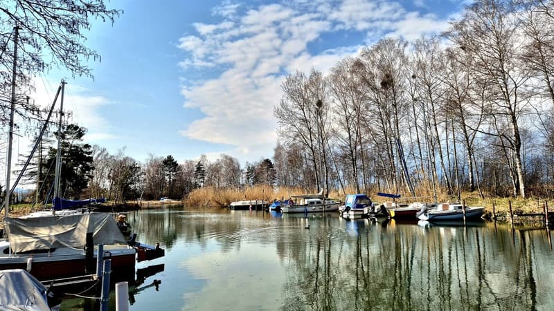 lake with boats, trees, sky, reflection