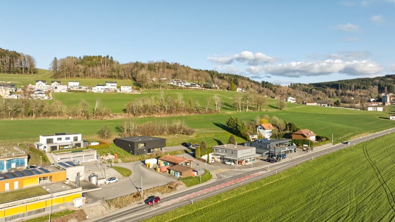 Aerial view of a residential area with several houses, green fields, and a road.