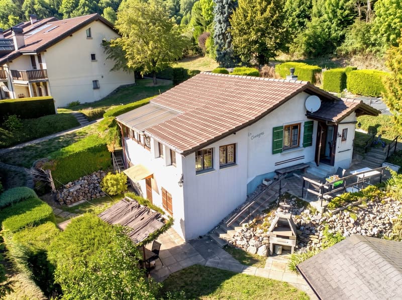 Vauderens – jolie maison dans un écrin de nature (3)