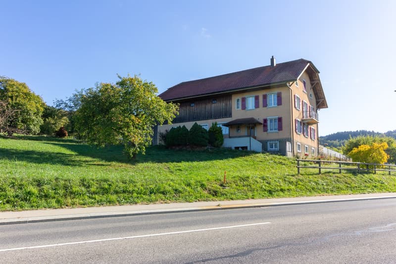 Vauderens – maison de campagne (4)
