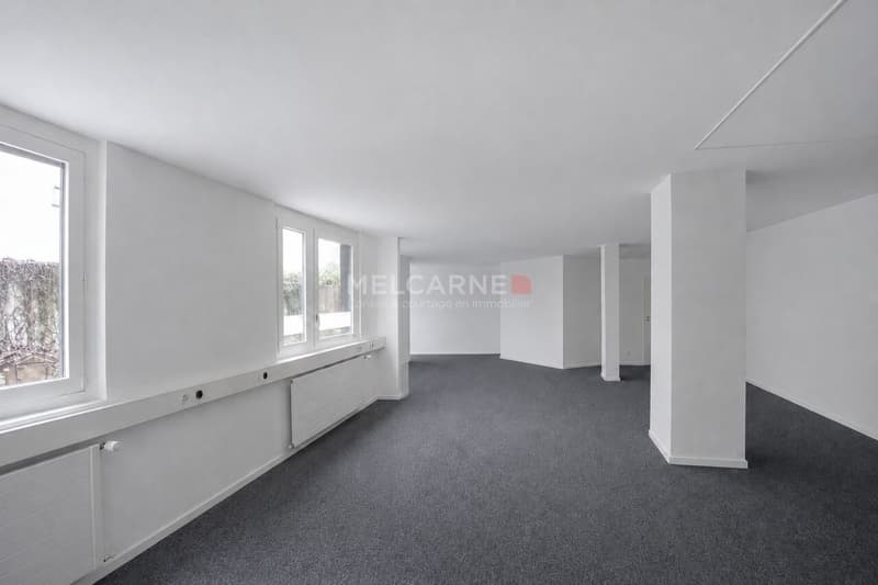 Bureaux de 101 m² en open space au coeur de Genève (3)