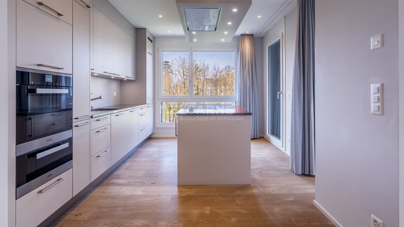 Exclusivité - Superbe appartement avec loggia (1)