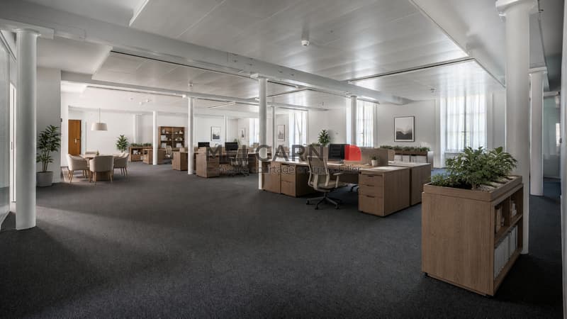 Bureaux d'environ 654 m² à louer - Place du Molard, Genève (4)