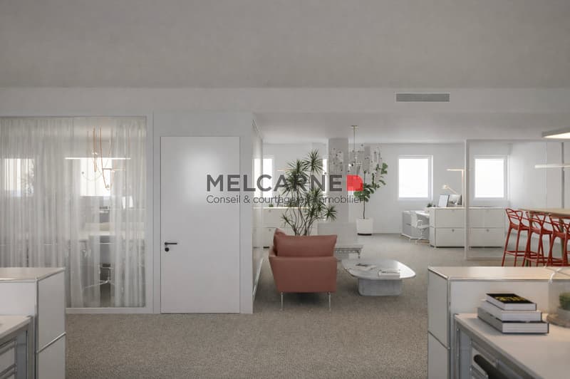 119 m2 de bureaux à Plainpalais (3)