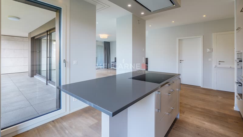 Exclusivité - Superbe appartement avec loggia (4)
