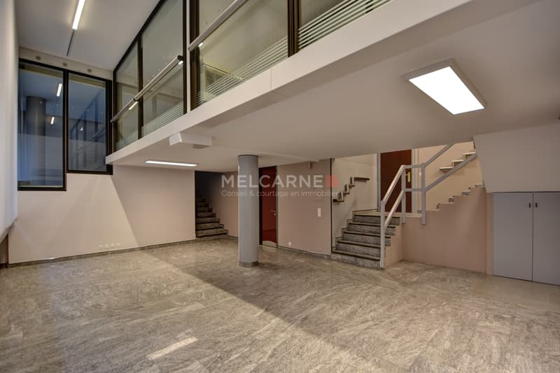 Surface de bureaux de 438 m² PPE aux Eaux-Vives (1)