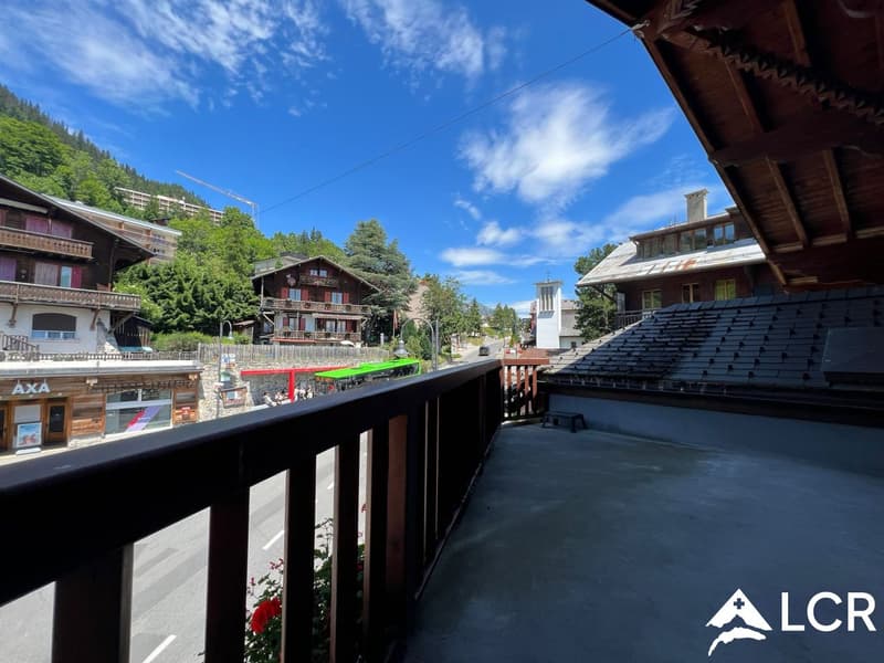 Magnifique immeuble / 2 Appartements et 2 commerces (3)
