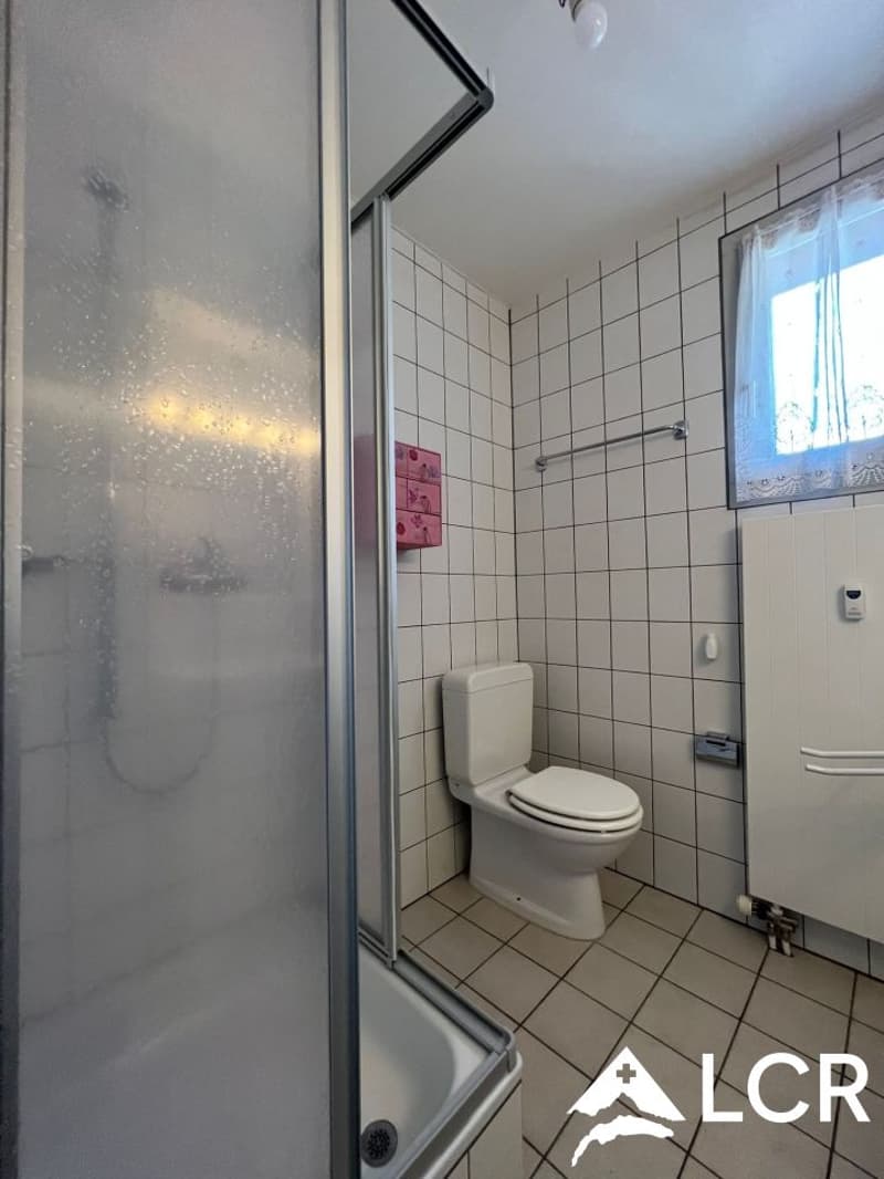 Magnifique immeuble / 2 Appartements et 2 commerces (12)