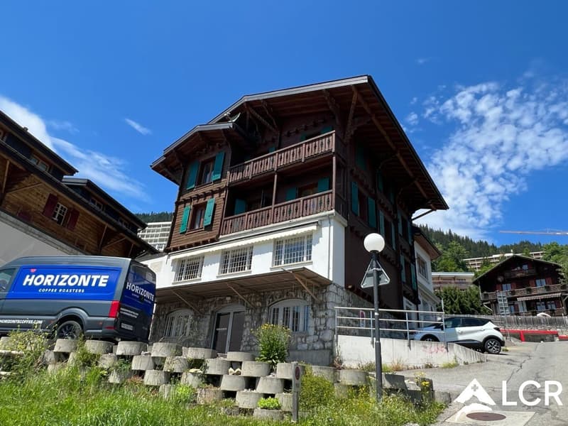 Magnifique immeuble / 2 Appartements et 2 commerces (2)
