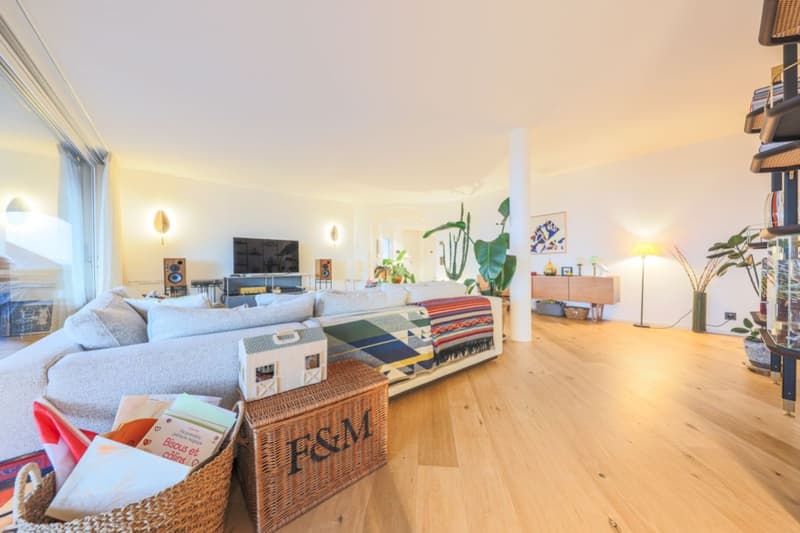 Magnifique appartement meublé de 2 chambres à proximité de Nyon et Gland (6)