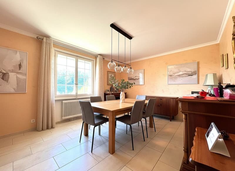 Maison individuelle de 6.5P / 4 CHB / 3 SDB / 1 Balcon / Grand jardin de 1150m² / 2 Box (2)