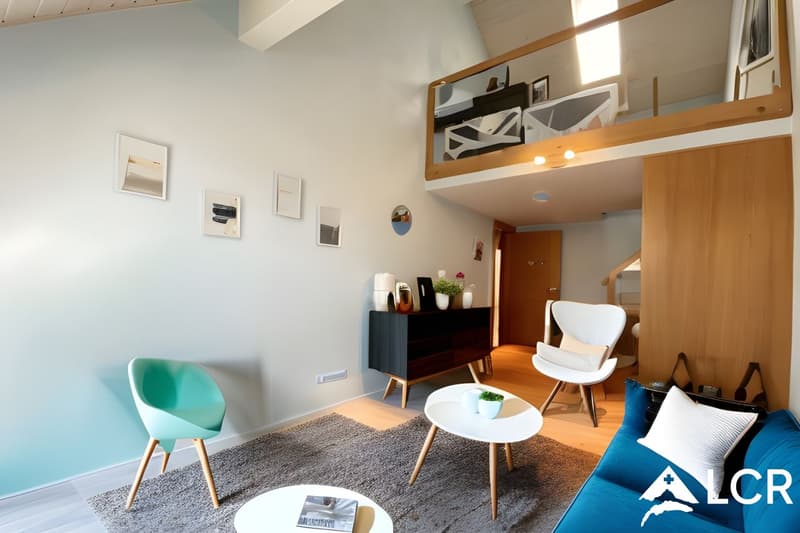 Magnifique appartement/maison de 330m2 - Jardin - 8 minutes de Morges (8)